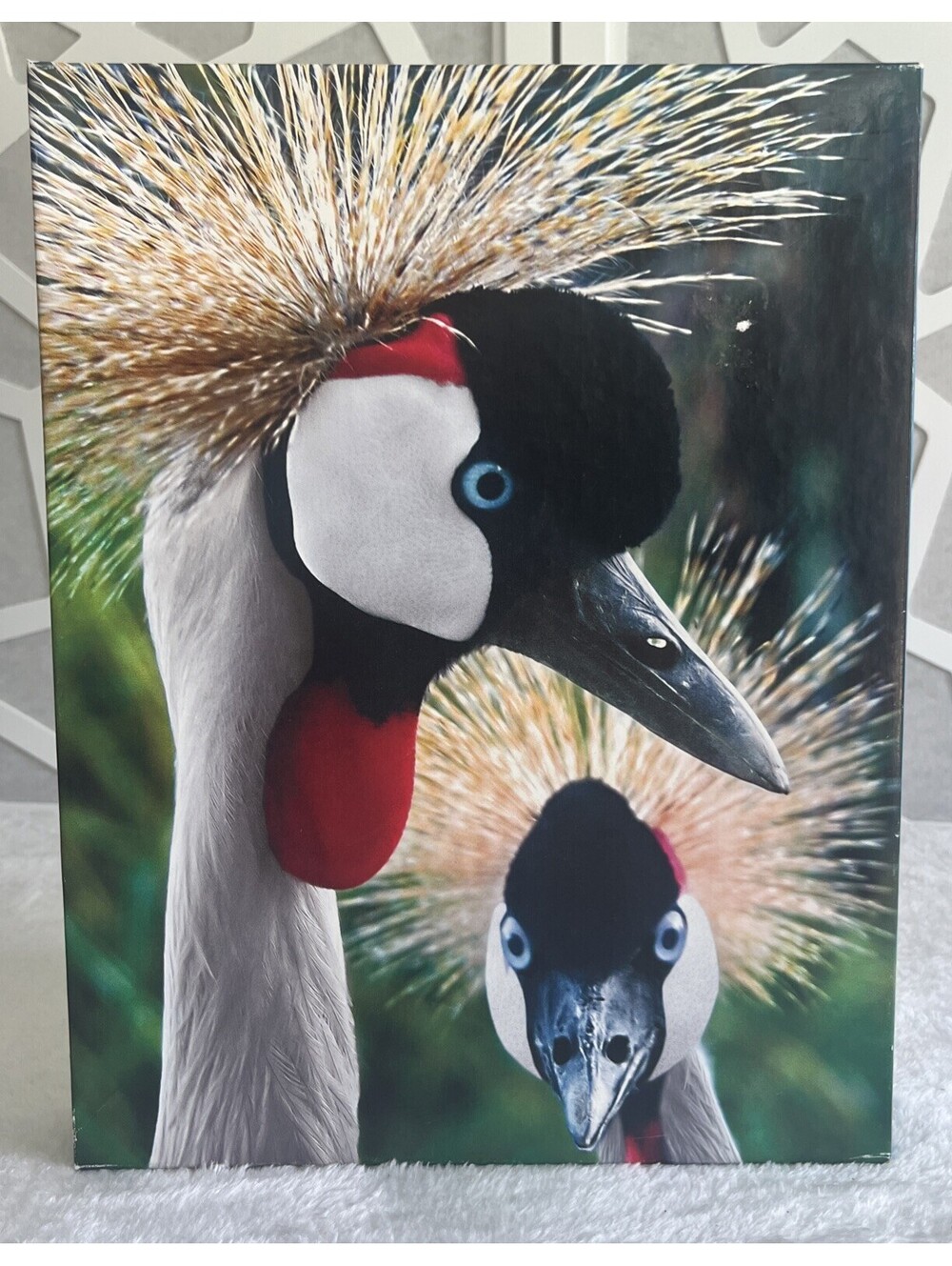 SPRINGBOK CROWNED CRANES 500 Piece Jigsaw Puzzle Vintage Wildlife Bird Art